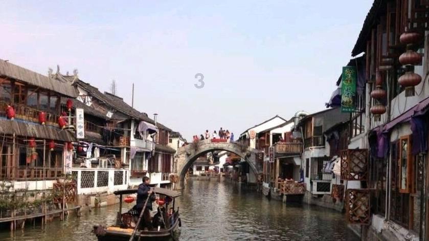 饿狮救援